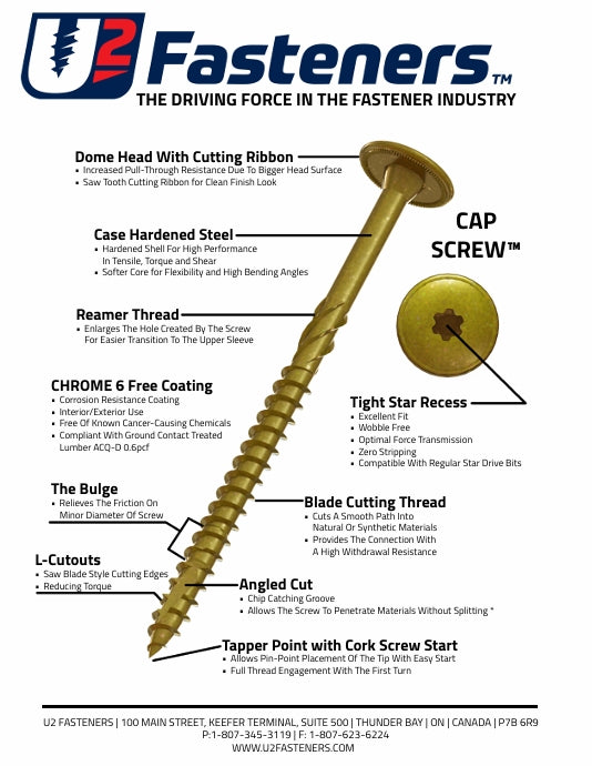 White Cap Screw 8 x 1-1/2"