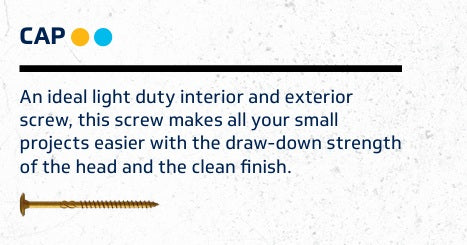 Cap Screw 8 x 2"