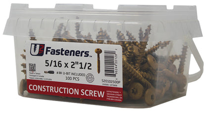 Construction Screw 5/16 x 2-1/2