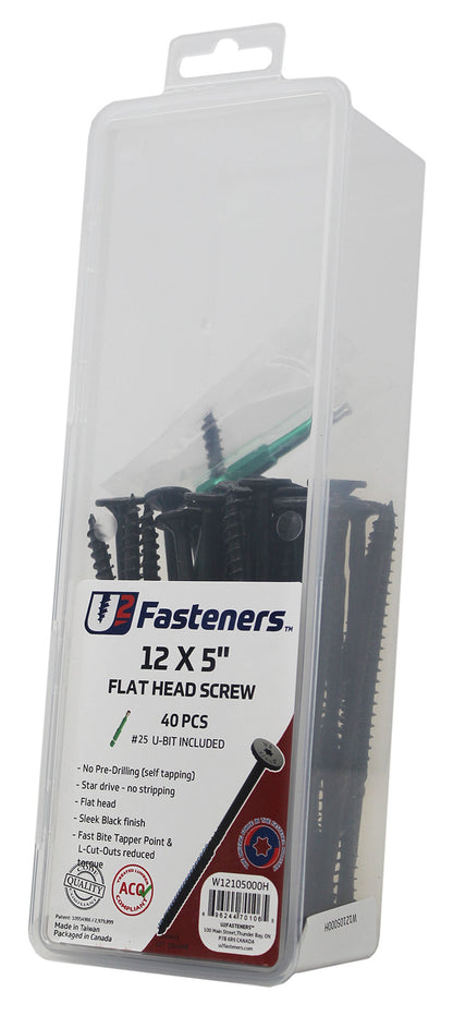 Black Flat Head Screw 12 x 5"
