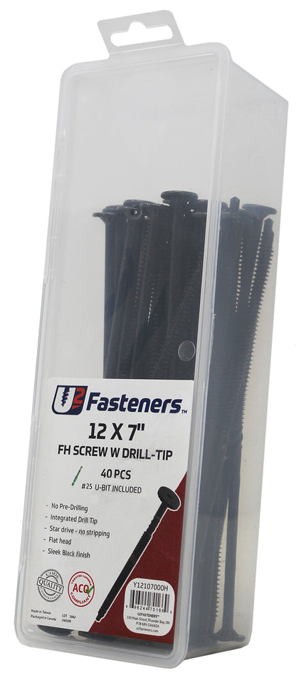 Black Flat Head with Drill Tip 12 x 7"